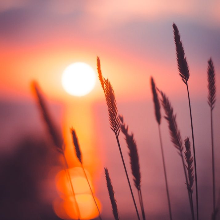 Sonnenuntergang Sonnenuntergang über einer Wiese mit grasbewachsenem Vordergrund und Wolken am Himmel.